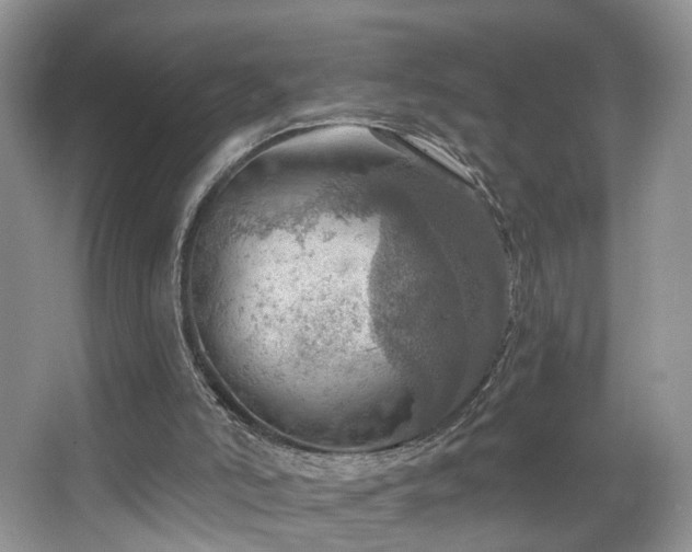 X0000067470006200604071206