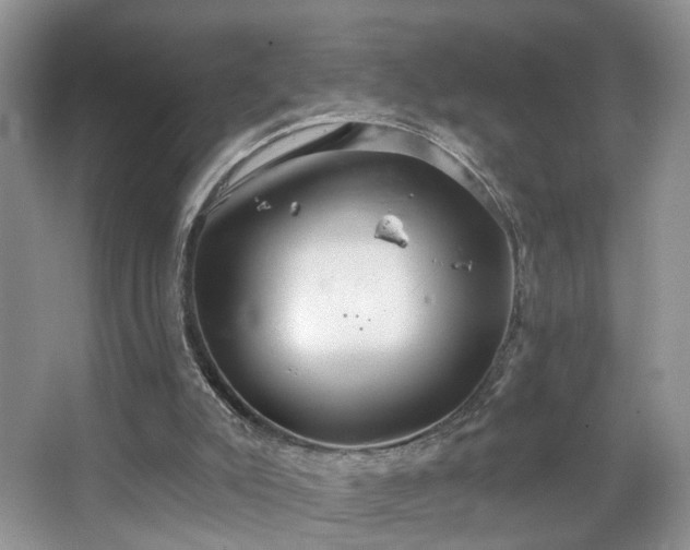 X0000067470007200604071206