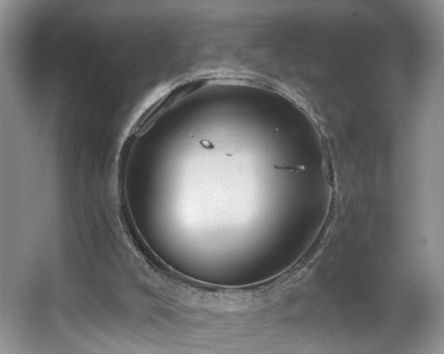 X0000067470008200604071206