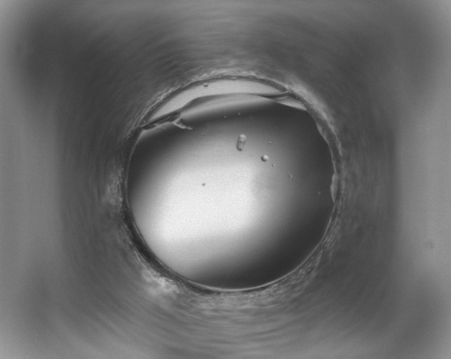 X0000067470009200604071206