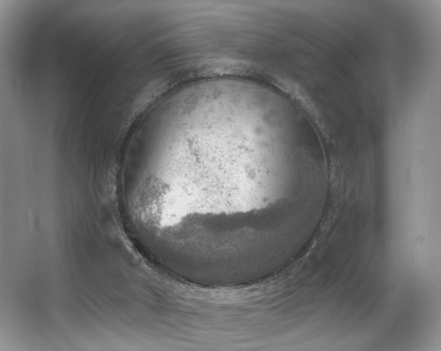 X0000067470010200604071206