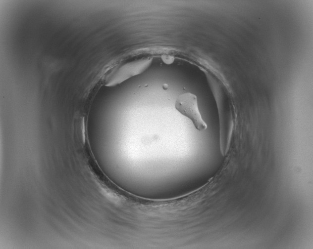 X0000067470013200604071206