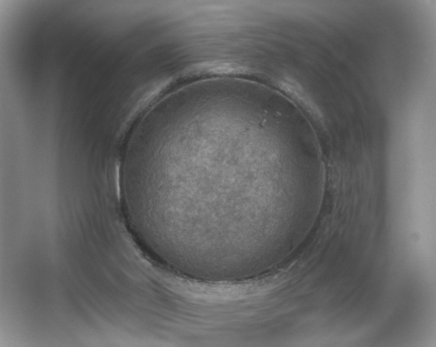 X0000067470014200604071206