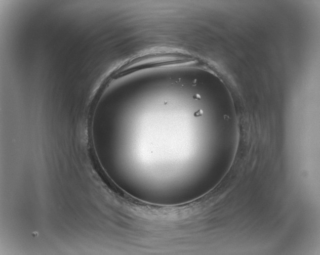 X0000067470015200604071206