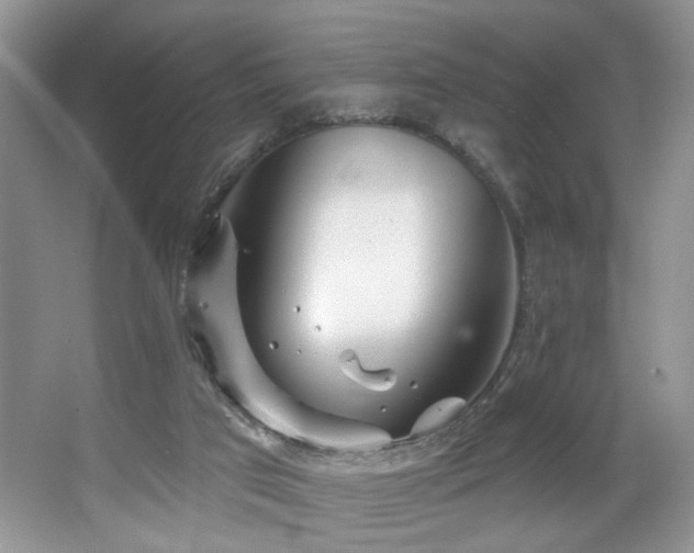 X0000067470017200604071206