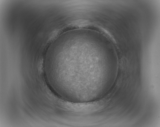 X0000067470018200604071206