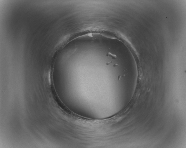 X0000067470019200604071206