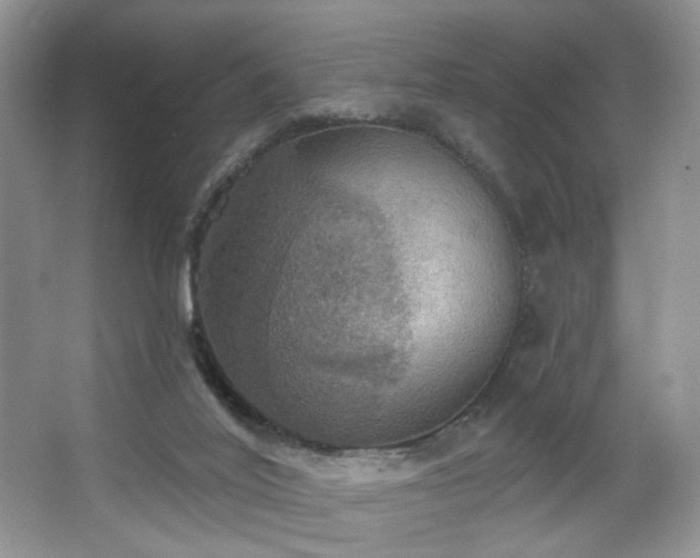 X0000067470020200604071206