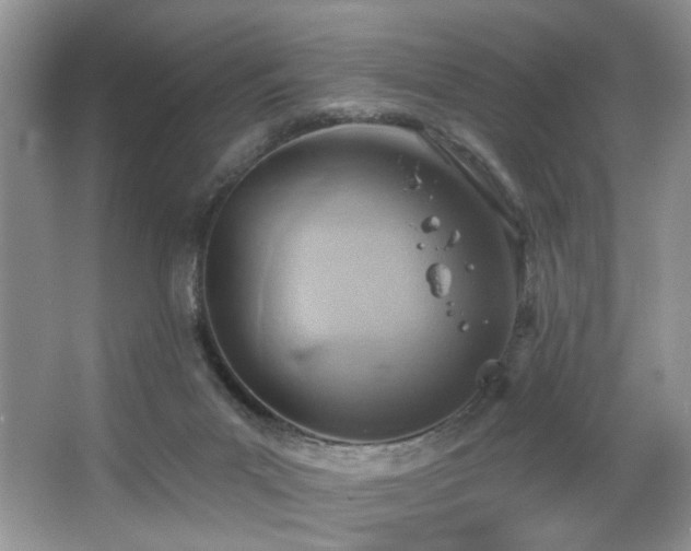 X0000067470023200604071206