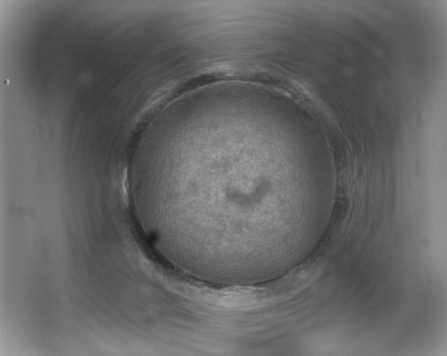 X0000067470024200604071206