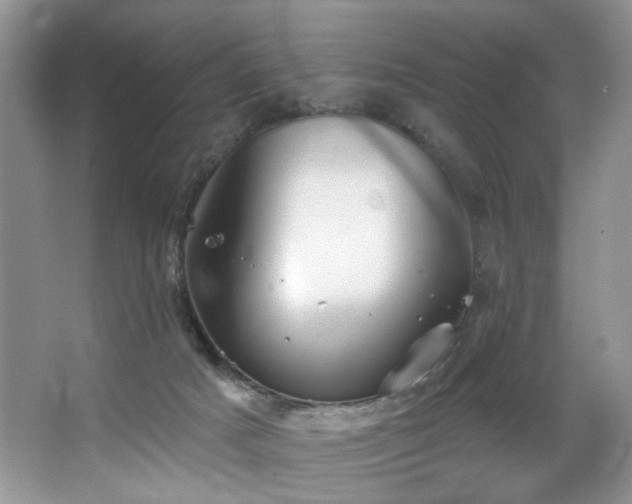 X0000067470025200604071206