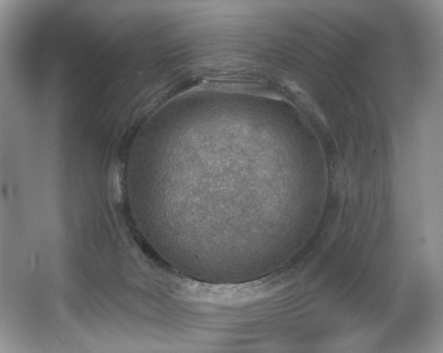 X0000067470026200604071206