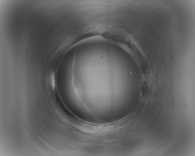 X0000067470027200604071206