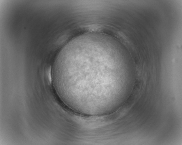 X0000067470028200604071206