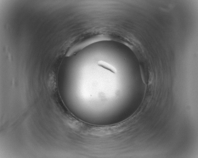 X0000067470029200604071206