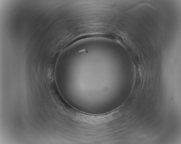 X0000067470031200604071206