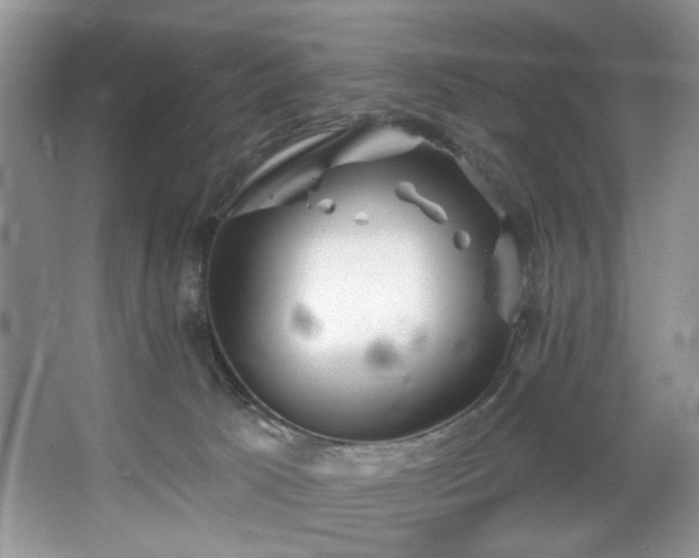 X0000067470033200604071206