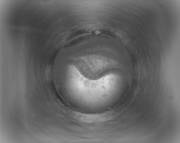 X0000067470034200604071206