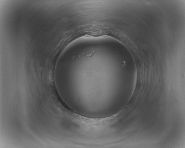 X0000067470035200604071205