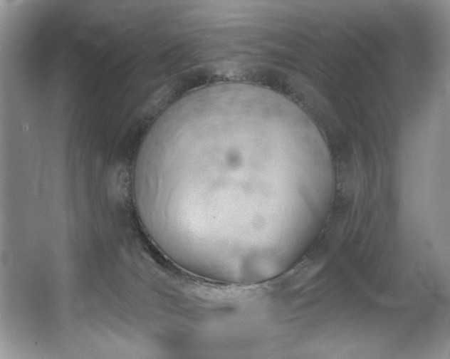 X0000067470036200604071205