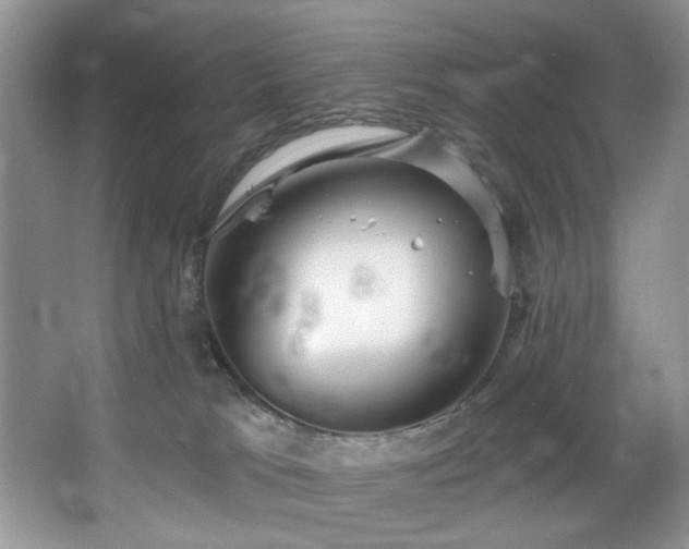 X0000067470037200604071205