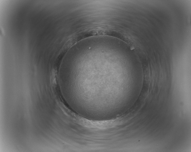 X0000067470038200604071205