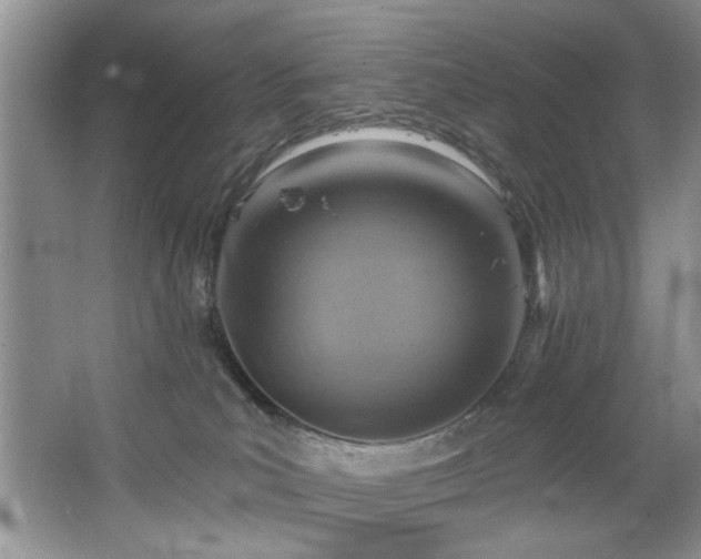 X0000067470039200604071205