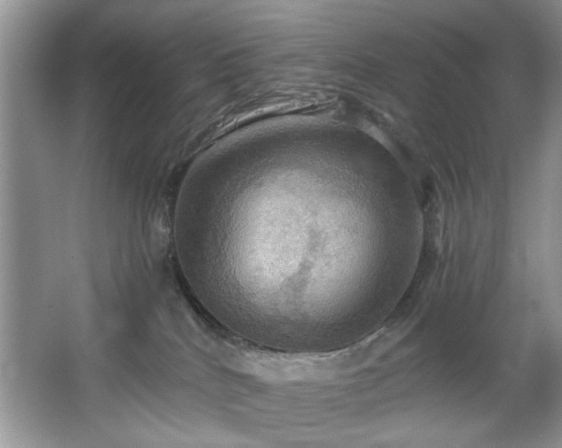 X0000067470040200604071205