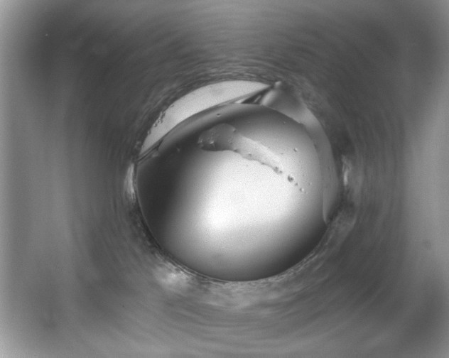 X0000067470041200604071205