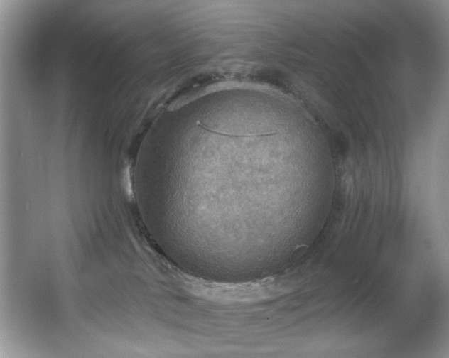 X0000067470042200604071205