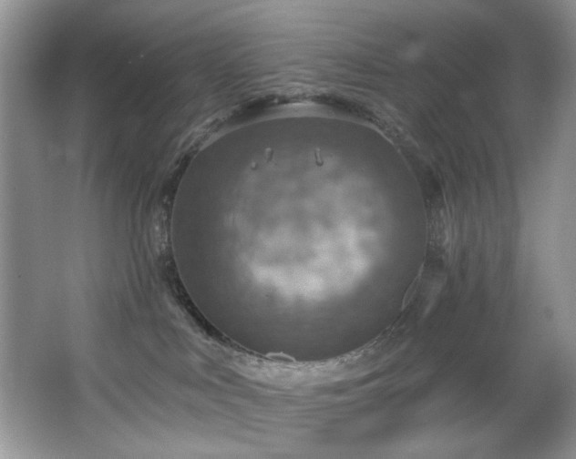 X0000067470043200604071205