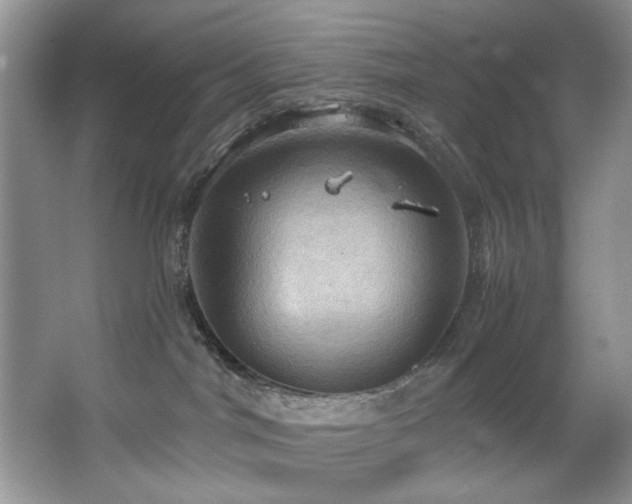 X0000067470044200604071205