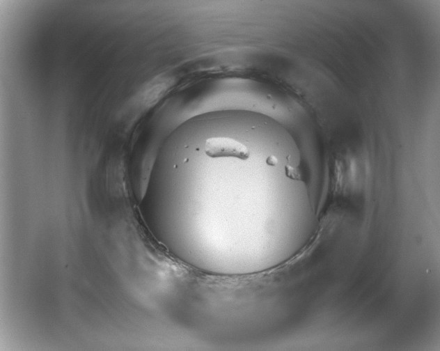 X0000067470045200604071205