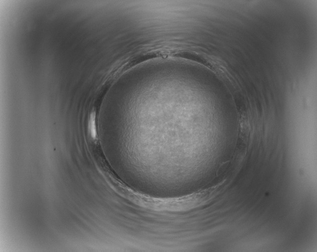 X0000067470046200604071205