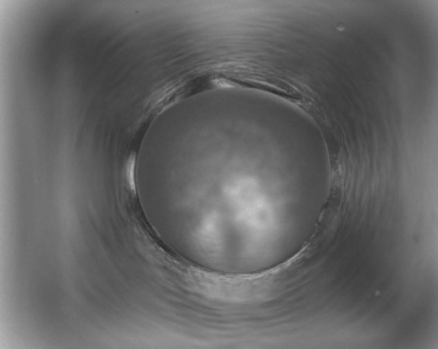 X0000067470047200604071205