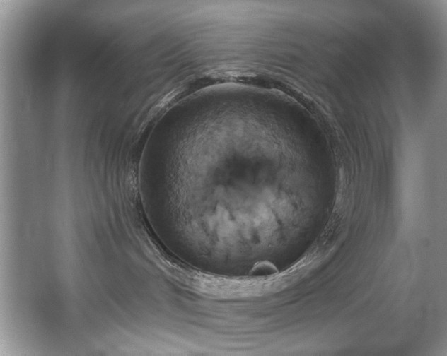 X0000067470048200604071205