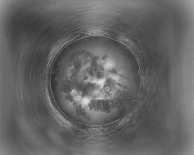 X0000067470049200604071204