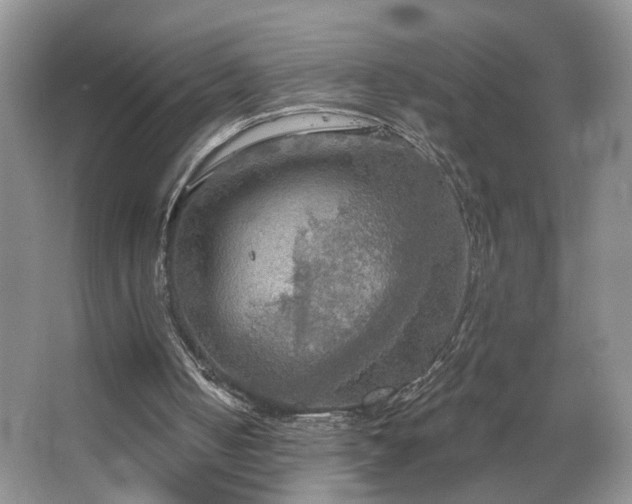 X0000067470050200604071204