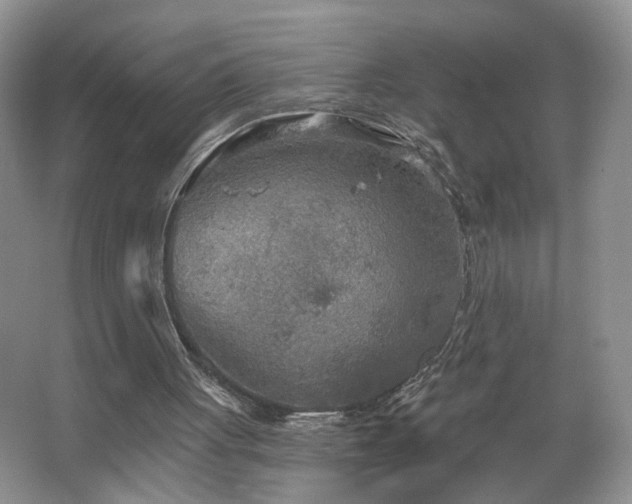 X0000067470051200604071205