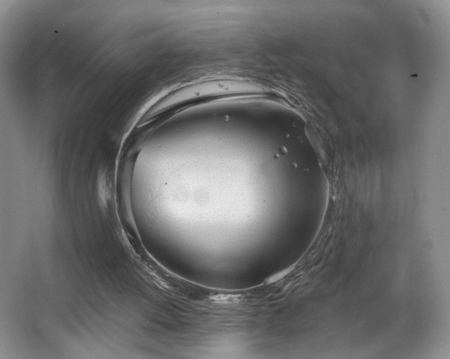 X0000067470052200604071205