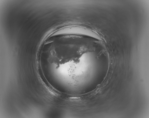 X0000067470053200604071205