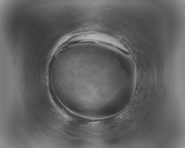 X0000067470054200604071205