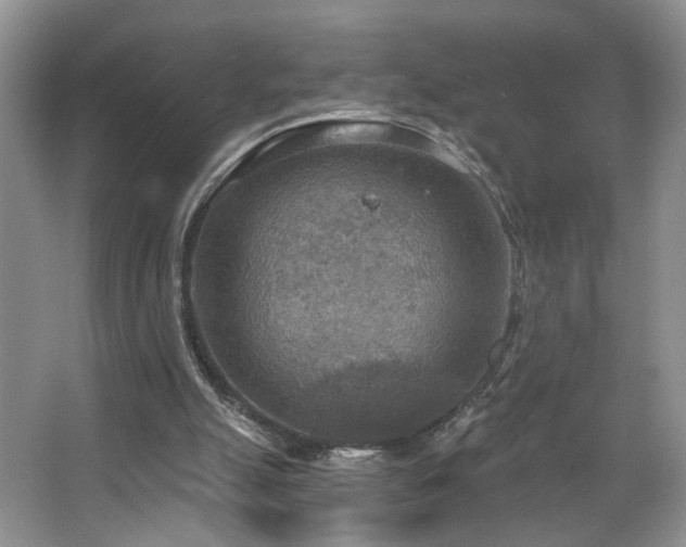 X0000067470055200604071205