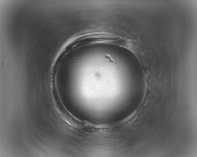 X0000067470056200604071205