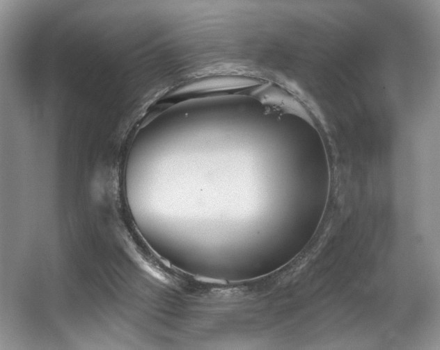 X0000067470057200604071205