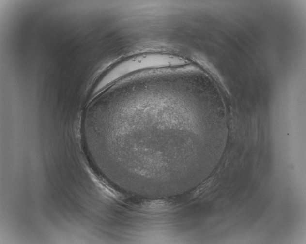 X0000067470058200604071205