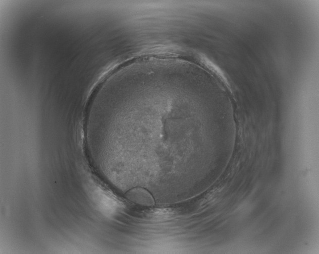 X0000067470059200604071205