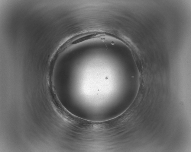 X0000067470060200604071205