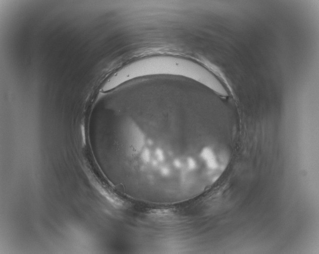 X0000067470061200604071205