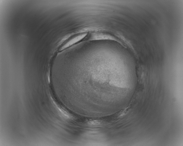 X0000067470062200604071205